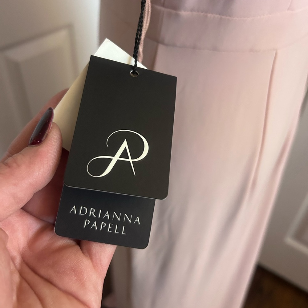 Adrianna Papell Blush Lace Maxi Dress - Picture 7 of 9